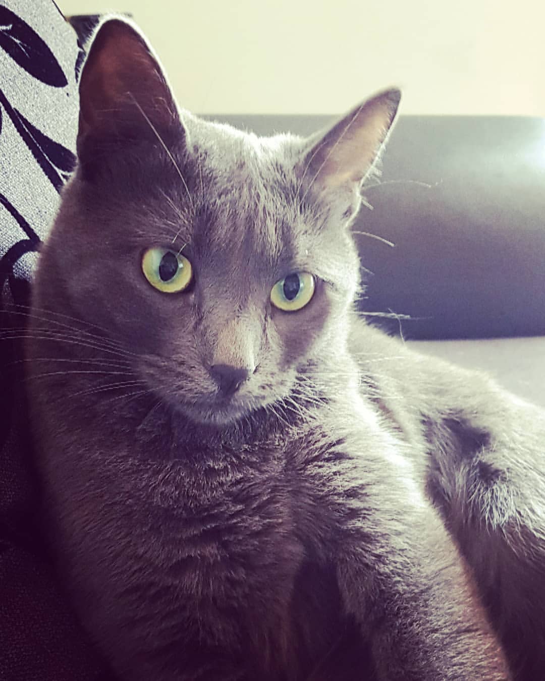 Korat – foto 2